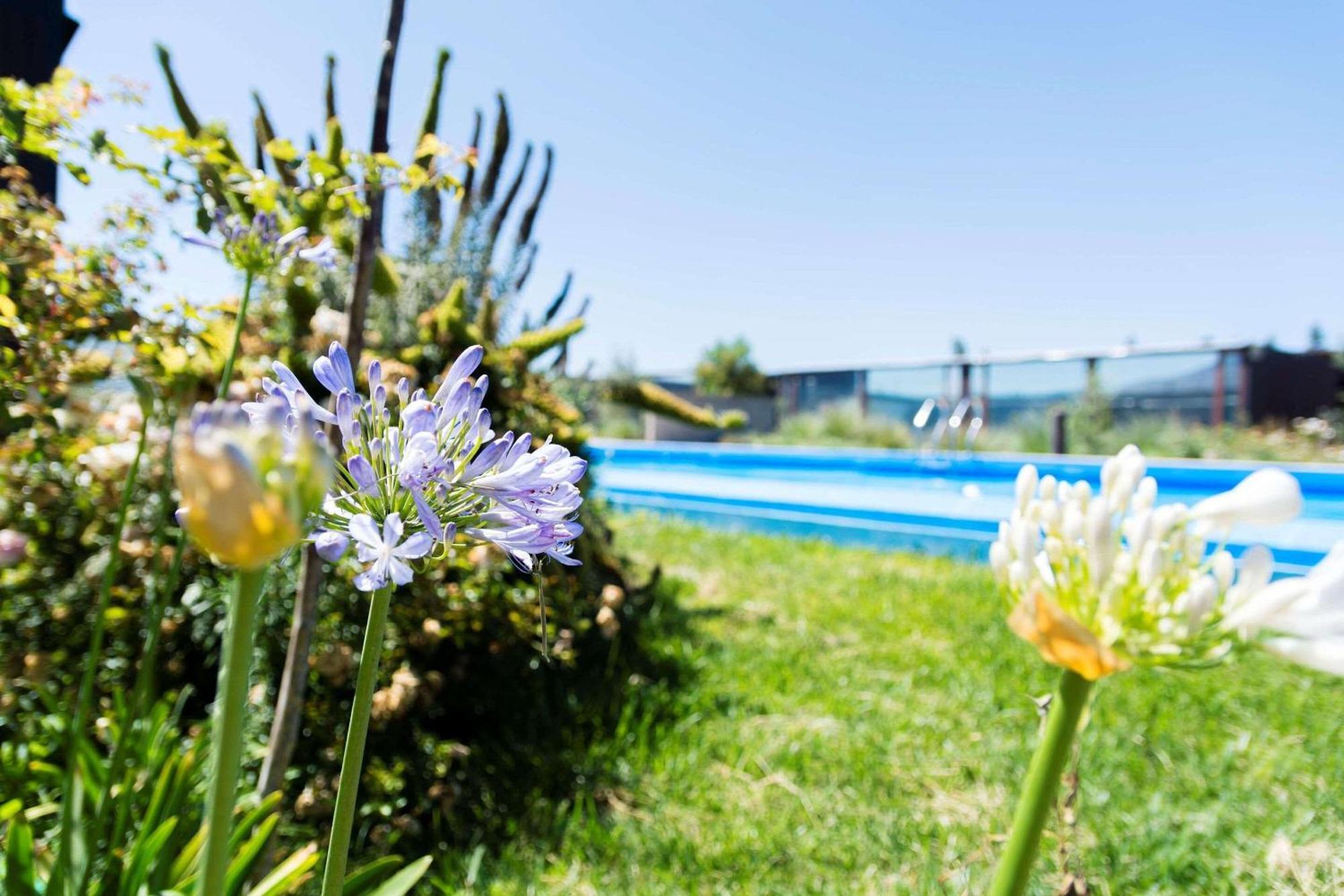 Park Inn By Radisson Los Olivos De 발르나르 외부 사진